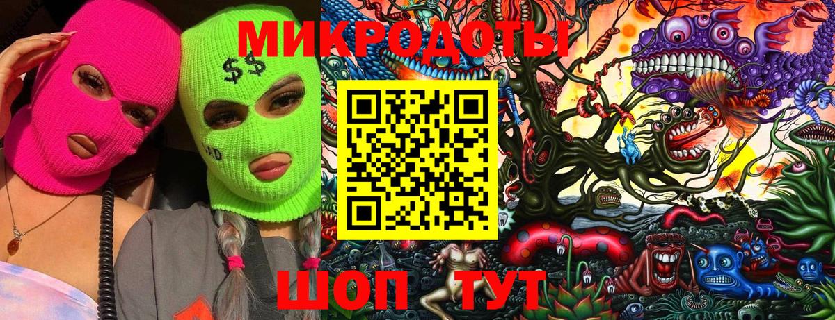 Псилоцибиновые грибы Cubensis Белгород